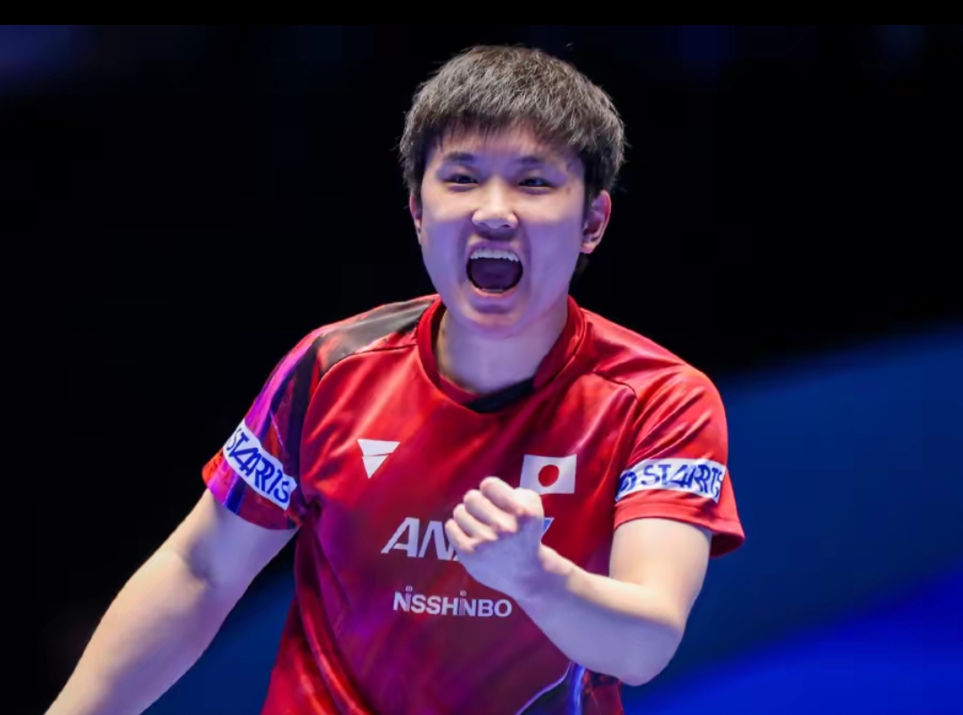 像母语般自 像母语般自